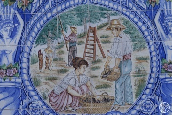 Decorative ceramics, depicting the olive harvest of Rute © Michelle Chaplow