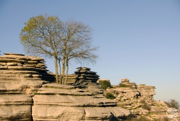 The fascinating shapes of El Torcal, created by erosion over millions of years © Michelle Chaplow