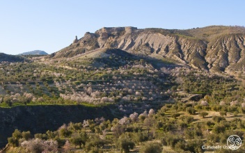 Sierra de Huétor © Michelle Chaplow