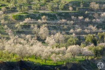 Beautiful landscapes near Beas de Granada © Michelle Chaplow