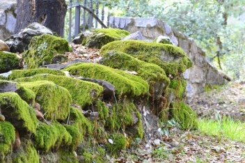 The Sierra de Aracena and Picos de Aroche natural park © Michelle Chaplow