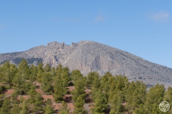Parque Natural Sierra de María-Los Vélez © Michelle Chaplow