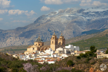 Vélez-Rubio is the capital of Los Vélez district, forming part of the Sierra María-Los Vélez Natural Park © Michelle Chaplow 