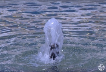 Water Desalination Plants in Andalucia. © Michelle Chaplow