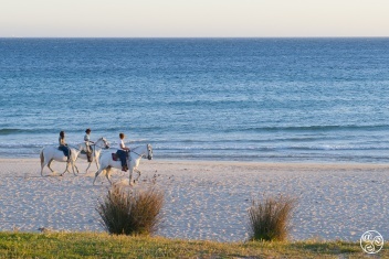 Horse Riding in Tarifa, Costa de la Luz. © Michelle Chaplow