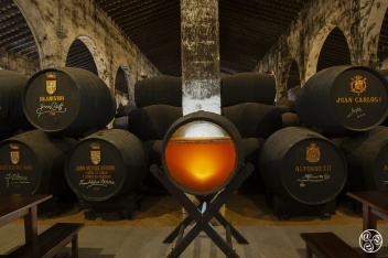 Visit a bodega to discover the different stages of the Sherry production process © Michelle Chaplow