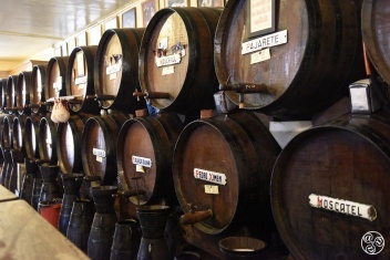 Antigua Casa de Guardia © Michelle Chaplow