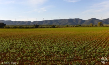 The fertile plains, near Fuente de la Piedra, Malaga. © Michelle Chaplow