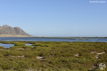 Salt marshes, Cabo de Gata, Almeria, Andalucia © Michelle Chaplow