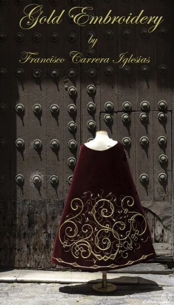 Rich velvet fabric and gleaming gold embellishment © Michelle Chaplow