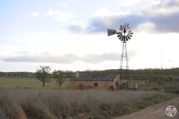 Wind driven water pump near  Cúllar Vega © Michelle Chaplow