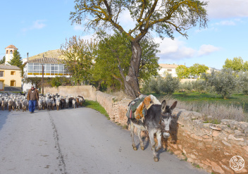 The rural village of Venta Quemada © Michelle Chaplow