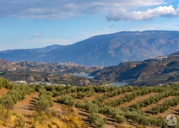 Olive groves, quaint white villages in the "comarca" of the Lecrin Valley. © Michelle Chaplow
