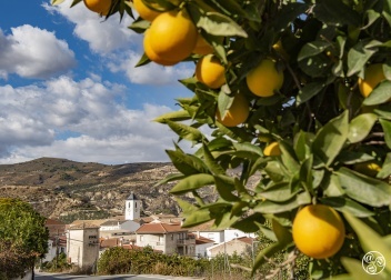 The white village of Restábal in the Lecrin Valley © Michelle Chaplow