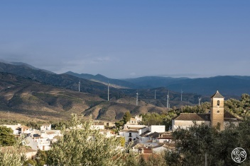 Pinos del Valle © Michelle Chaplow