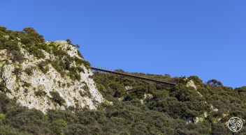 There is a very impressive skywalk within the upper rock, nature reserve © Michelle Chaplow