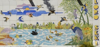 Lori Sexi parrots, cockatoos, toucans and ostriches