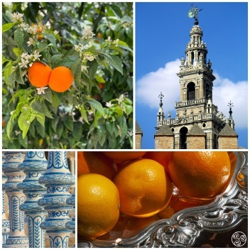 The finest and most highly prized marmalade is made from the Seville orange. © Michelle Chaplow
