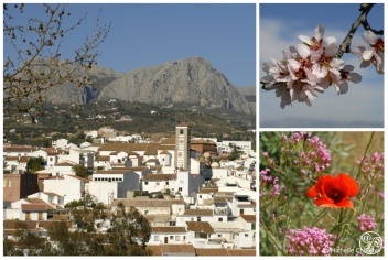 The white village of Riogordo © Michelle Chaplow