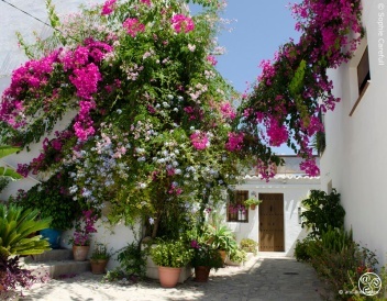 Bougainvillea in the beautiful town of Salobreña © Sophie Carefull