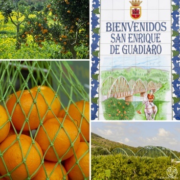 San Enrique de Guadiaio land of oranges and Polo fields © Michelle Chaplow
