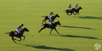 Polo at Los Pinos fields © Michelle Chaplow