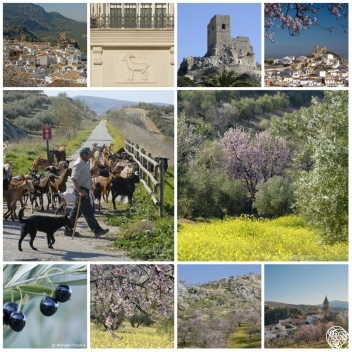 Sierra Subbetica © Michelle Chaplow