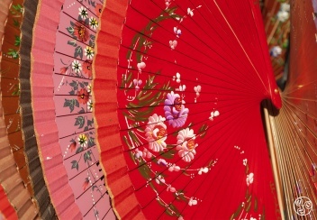 Don´t leave your hotel without a fan during summertime in Seville. © Michelle Chaplow