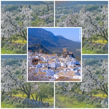 Zuheros one of the most stunning villages in Andalucia © Michelle Chaplow