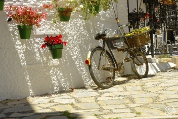 Excursions from Estepona © Gonzalo Alvarez