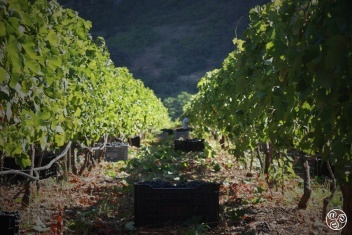 Bodega Gonzalo Beltrán, Ronda