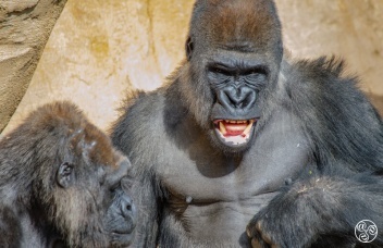 Bioparc in Fuengirola @ Bioparc