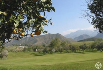 Cortijo Grande Golf Resort © Cortijo Grande Golf Resort