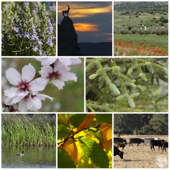 Flora and Fauna in Andalucia © Michelle Chaplow