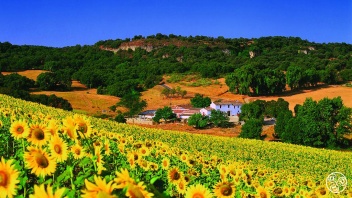 Hotel Cortijo Las Piletas © Booking.com