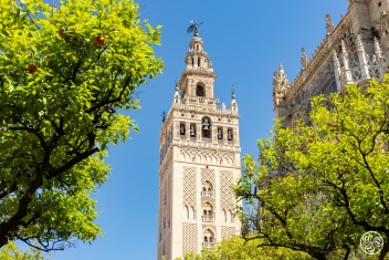The magnificent Giralda tower of Seville Cathedral © istockphoto