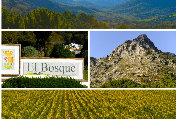 El Bosque is situated at the foot of the Sierra de Grazalema on the banks of the river Majaceite. © Michelle Chaplow