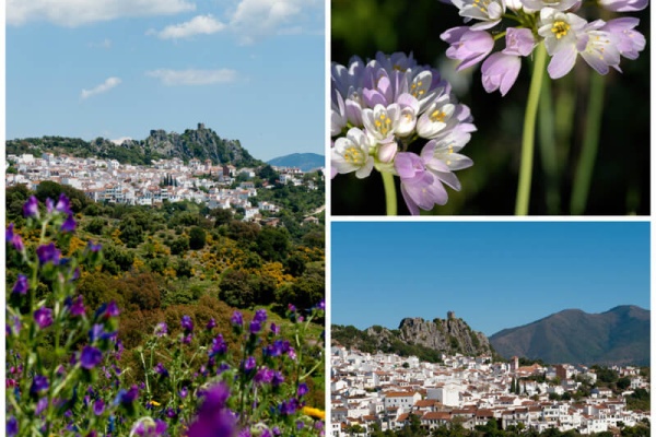 Wandering around the beautiful white Village of Gaucin © Michelle Chaplow