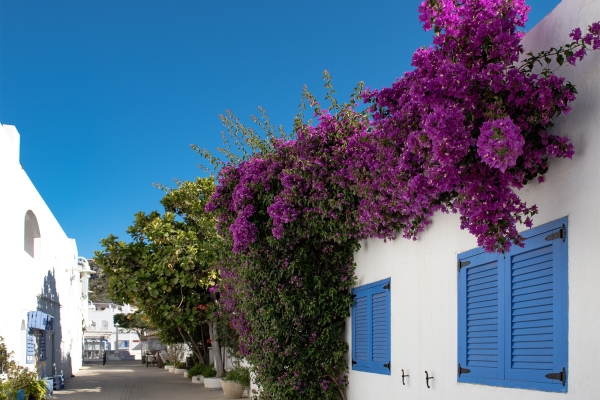 The quaint streets of Agua Amarga © Michelle Chaplow
