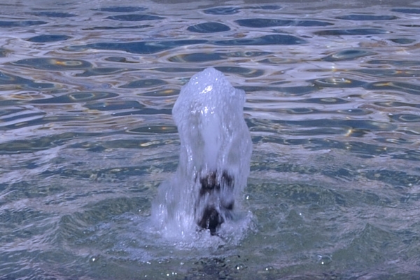 Learn your water vocabulary a - Glossary of water terms in English and Spanish. © Michelle Chaplow