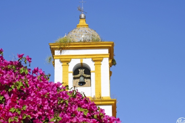 The bell tower in Chiclana © Michelle Chaplow