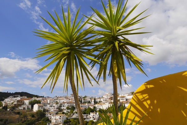 The white village of Gaucin © Michelle Chaplow