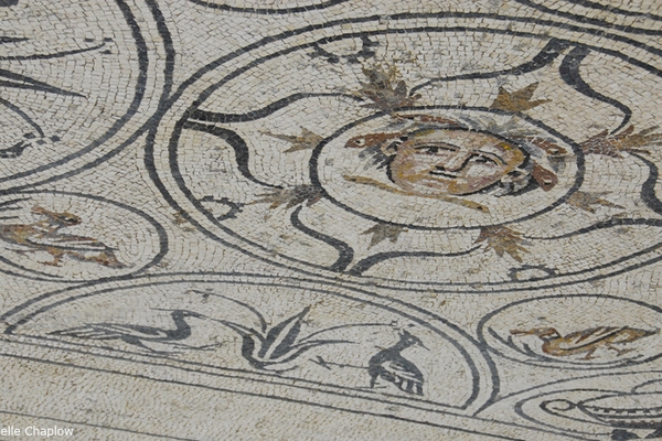Medusa at Rio Verde Villa  © Michelle Chaplow