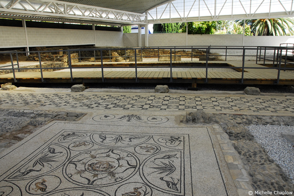 Rio Verde Villa with protective canopy © Michelle Chaplow