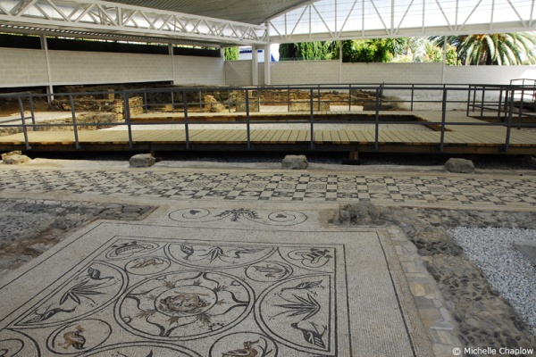 Rio Verde Villa with protective canopy © Michelle Chaplow