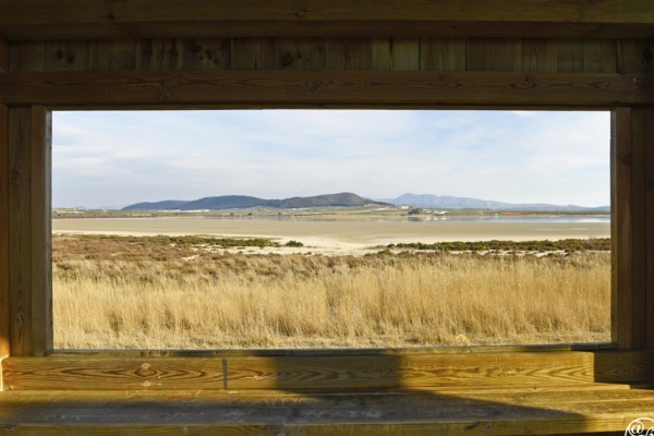 Looking out to the lagoon from the observatory © Michelle Chaplow