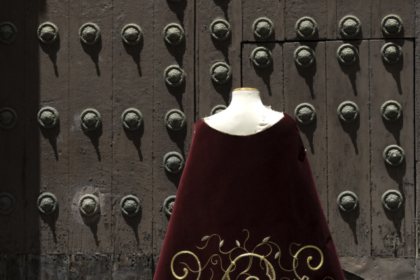 Rich velvet fabric and gleaming gold embellishment © Michelle Chaplow