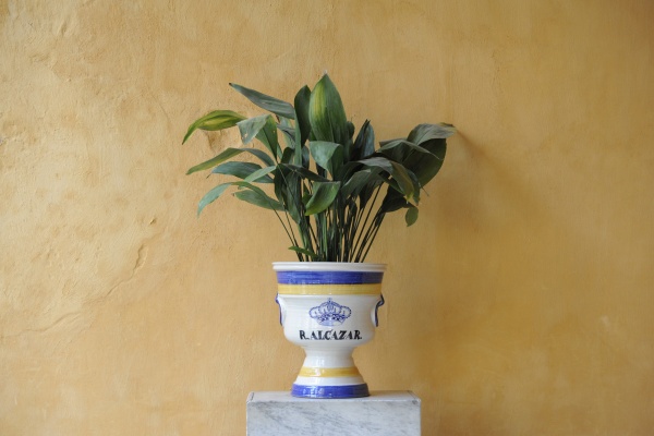 The Alcázar of Seville is known for its rich mix of architectural influences © Michelle Chaplow