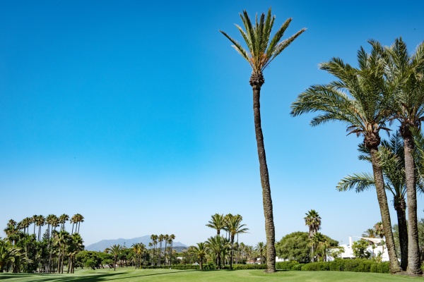 Real Club de Golf in Sotogrande. © Michelle Chaplow