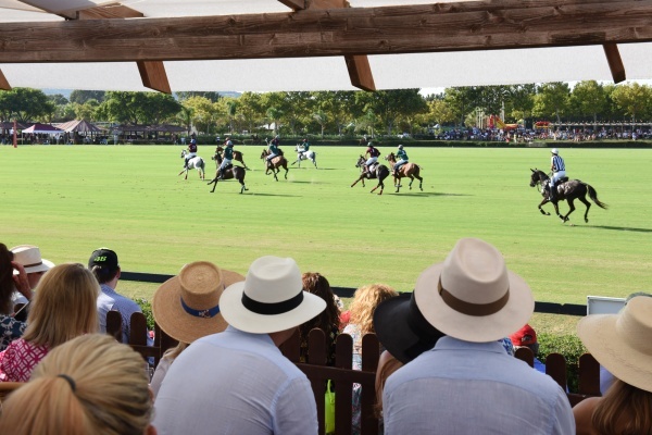 Polo in Sotogrande  © Michelle Chaplow